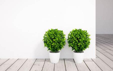 �Gɫ�h�����o���oζ